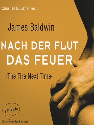 cover image of Nach der Flut das Feuer